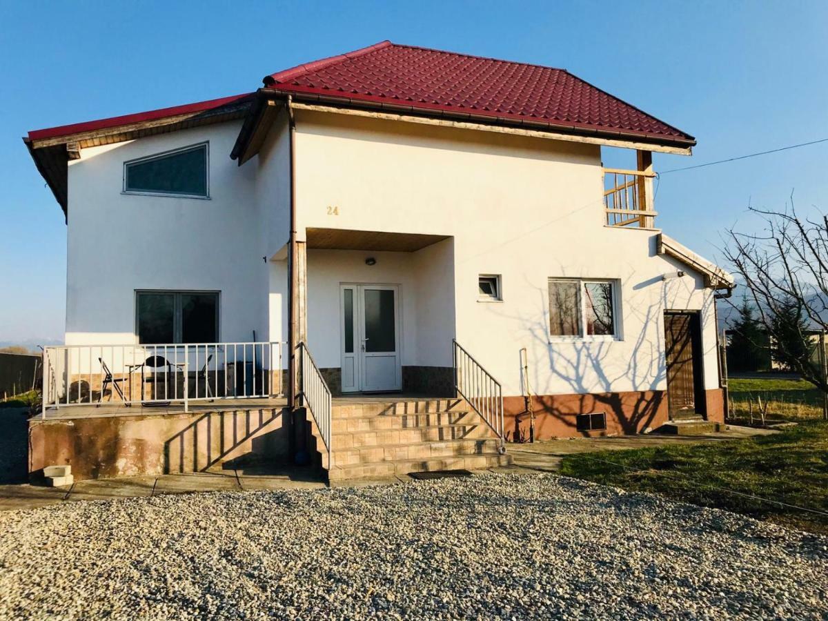 Vila Ekooos Braşov Esterno foto