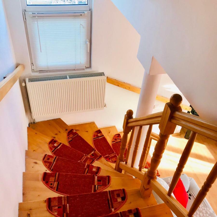 Vila Ekooos Braşov Esterno foto
