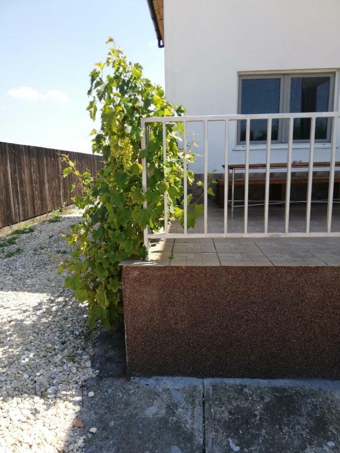 Vila Ekooos Braşov Esterno foto