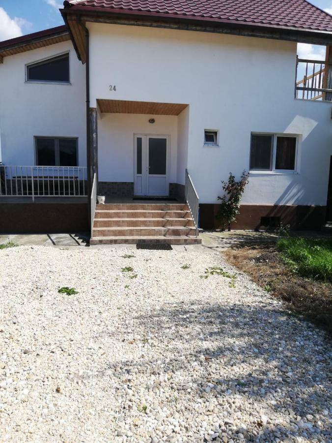 Vila Ekooos Braşov Esterno foto